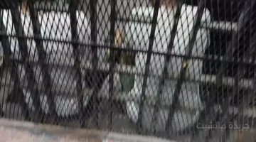 تطور جديد.. بدء محاكمة 39 متهمًا في قضية خلية العملة أمام الجنايات 1